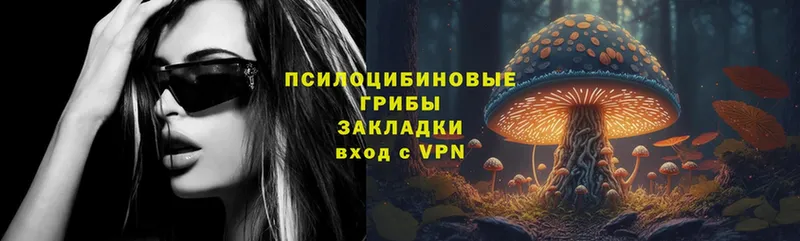 Псилоцибиновые грибы Cubensis  сколько стоит  Новосибирск 